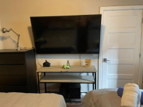 cozy apartment in the heart of downtown Montreal